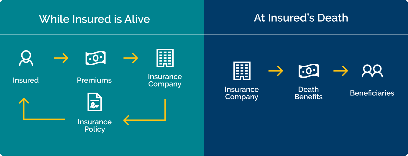 Life Insurance: What It Is, How It Works, and Why You May Need It